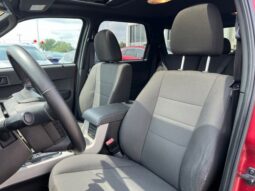 
 Ford Escape full									