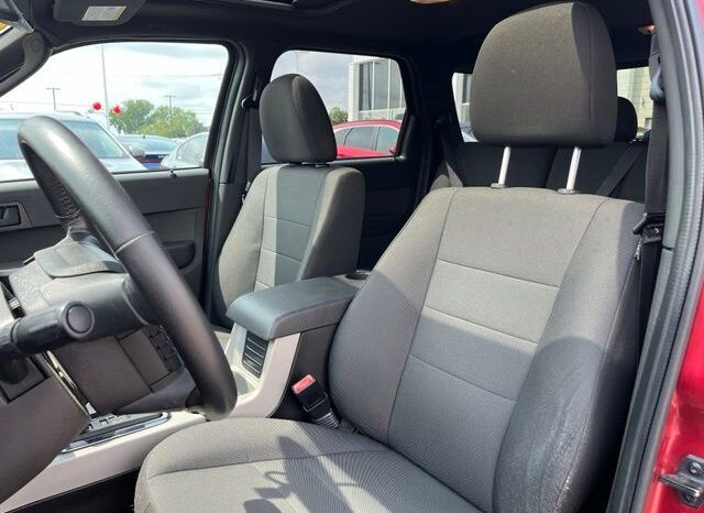 
 Ford Escape full									