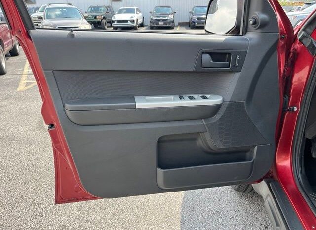 
 Ford Escape full									