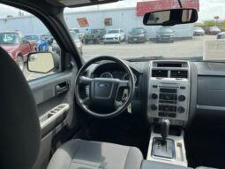 
 Ford Escape full									