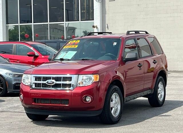 
 Ford Escape full									