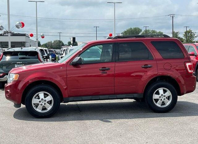 
 Ford Escape full									