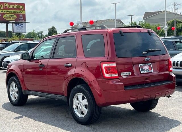 
 Ford Escape full									