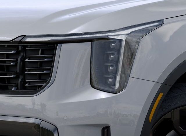 
 Kia Sorento full									
