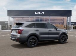 
 Kia Sorento Hybrid full									