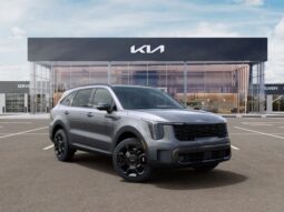 
 Kia Sorento Hybrid full									