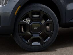 
 Kia Sorento Hybrid full									