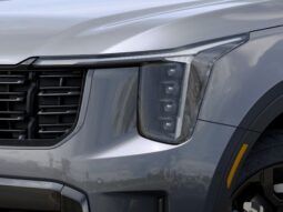
 Kia Sorento Hybrid full									