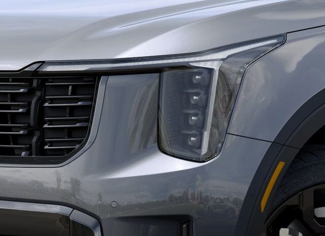 
 Kia Sorento Hybrid full									