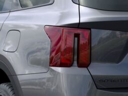 
 Kia Sorento Hybrid full									
