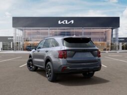 
 Kia Sorento Hybrid full									