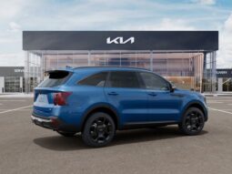 
 Kia Sorento Hybrid full									