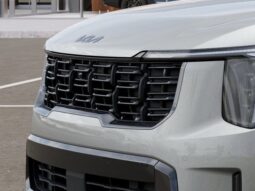
 Kia Sorento full									