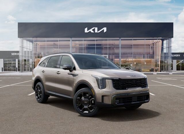 
 Kia Sorento Hybrid full									