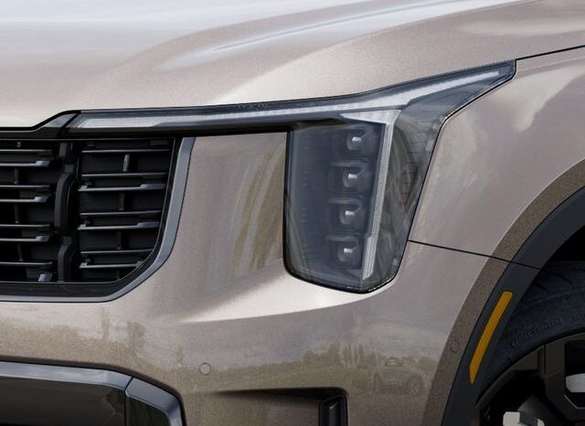 
 Kia Sorento Hybrid full									