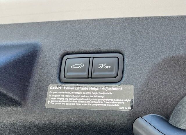 
 Kia Telluride full									