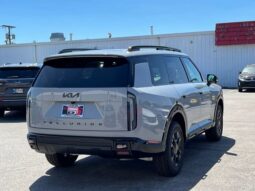 Kia Telluride full