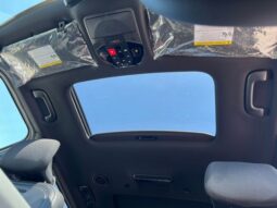 Kia Telluride full