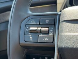 Kia Telluride full