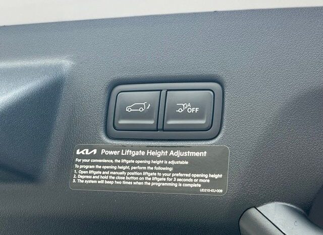 
 Kia Telluride full									