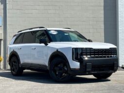 Kia Telluride Hybrid