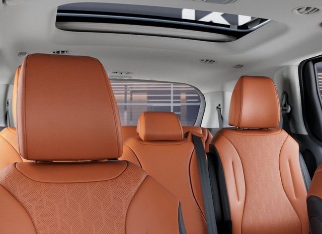 
								Kia Carnival full									