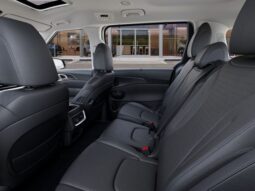 
										Kia Carnival full									