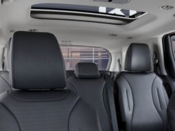 
										Kia Carnival full									