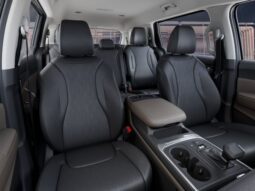 
										Kia Carnival full									