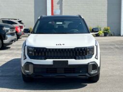 
 Kia Seltos full									