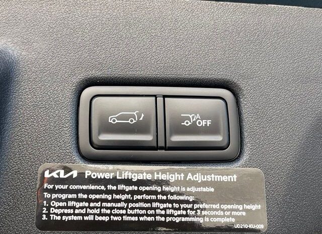 
 Kia Telluride Hybrid full									