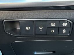 Kia Telluride Hybrid full