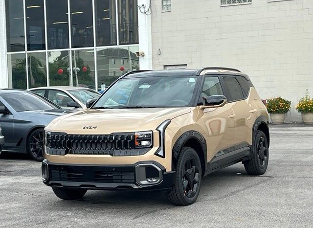 
 Kia Seltos full									