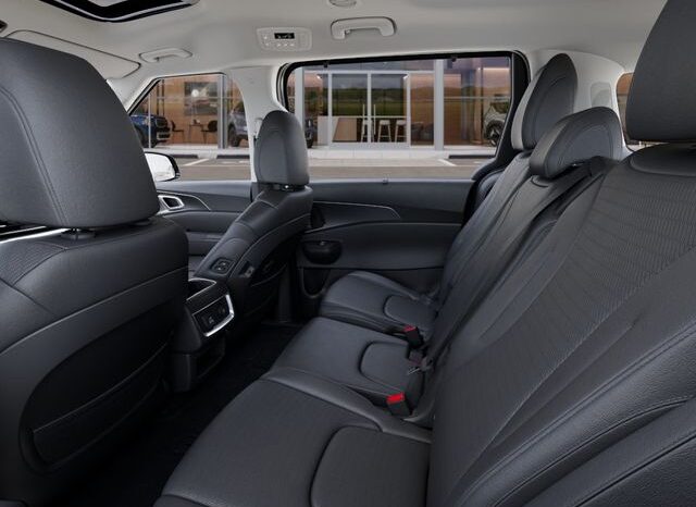 
								Kia Carnival full									