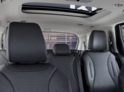 
										Kia Carnival full									