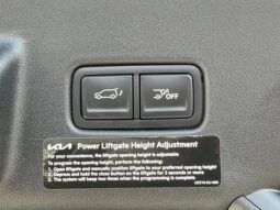 
 Kia Telluride Hybrid full									