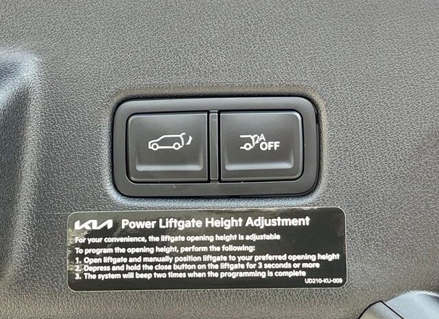 
 Kia Telluride Hybrid full									