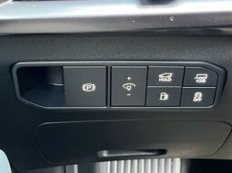 
 Kia Telluride Hybrid full									