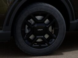
 Kia Telluride full									