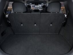
 Kia Telluride full									