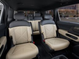 
 Kia Telluride Hybrid full									