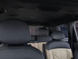 
 Kia Telluride Hybrid full									
