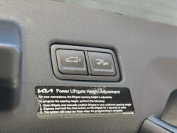 
 Kia Telluride full									