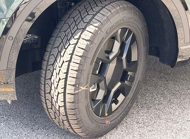 
 Kia Telluride full									