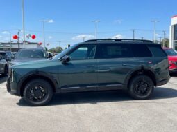 
 Kia Telluride full									