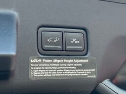 
										Kia Telluride full									