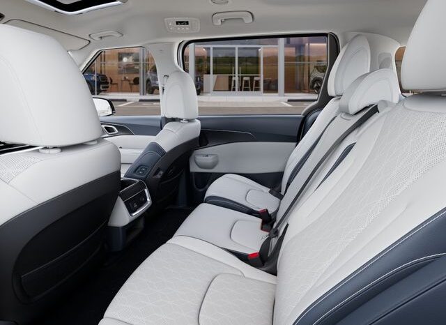 
								Kia Carnival full									