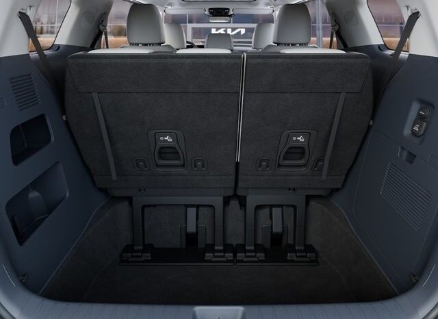 
								Kia Carnival full									