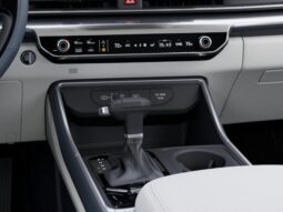 
										Kia Carnival full									