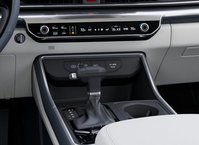 
								Kia Carnival full									